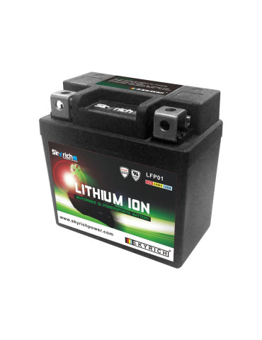 Batterie SKYRICH Lithium Ion LTKTM04L sans entretien