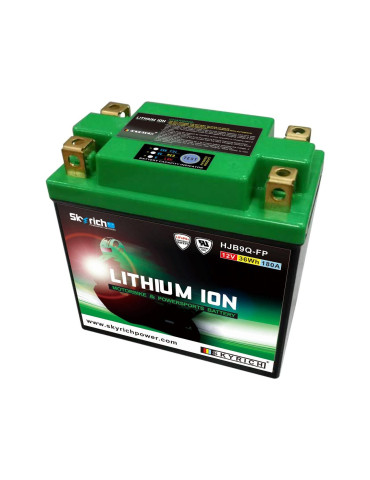 Batterie SKYRICH Lithium Ion LIB9 sans entretien